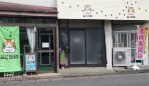 まとめ 所沢にある3つの猫カフェについて紹介 所沢マガジン