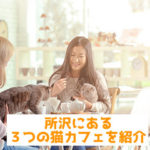 【まとめ】所沢にある3つの猫カフェについて紹介！